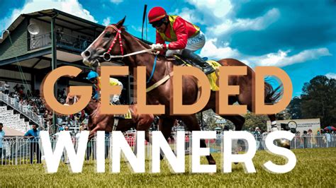 gelded horses running today